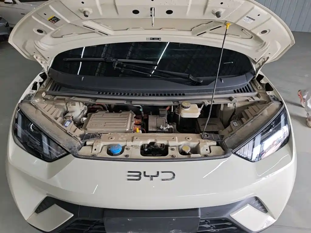 BYD Seagull — фотографии объявления, Фото 20