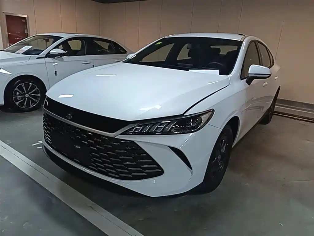 Byd Qin PLUS 2026
