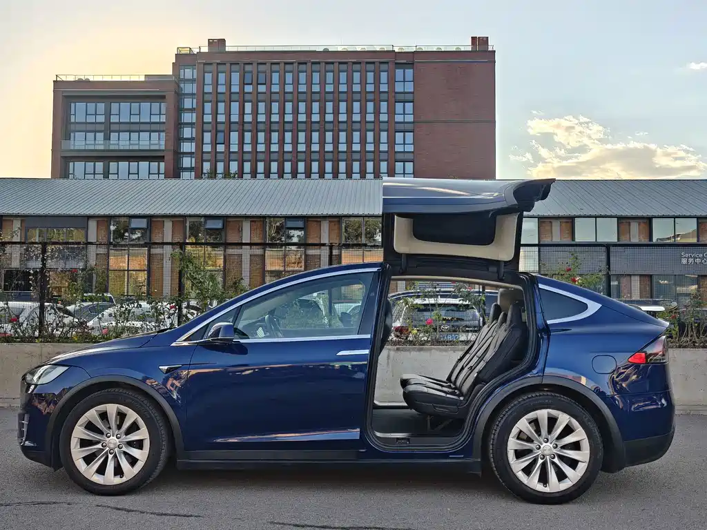 Tesla Model X — миниатюра 12