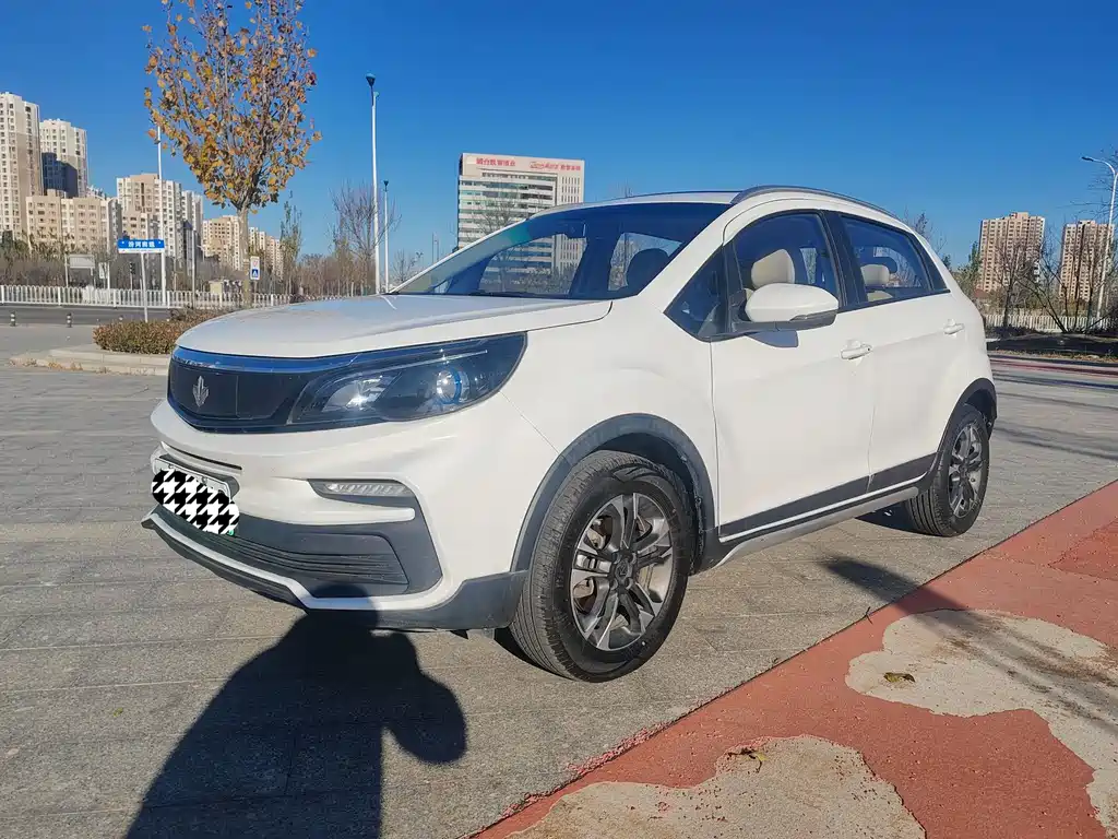 RUILAN AUTOMOBILE MAPLE LEAF 30X