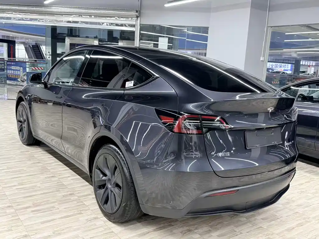 Tesla Model Y — миниатюра 3
