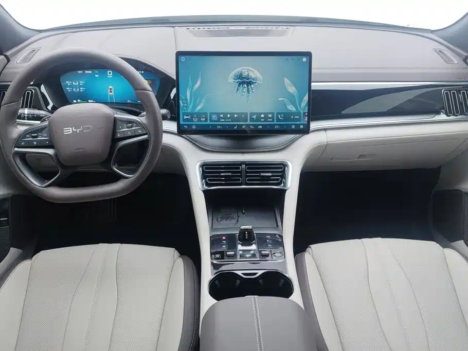 BYD PLUS New Energy — миниатюра 12