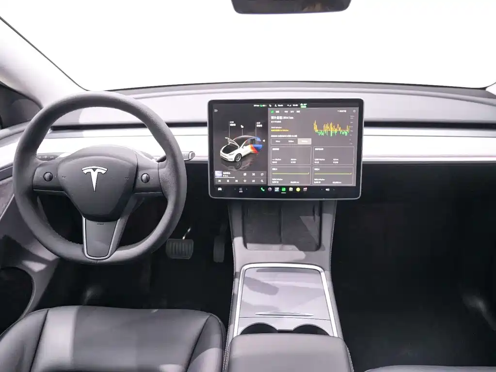 Tesla Model Y — миниатюра 13