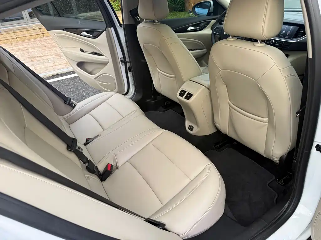Buick Regal — миниатюра 12