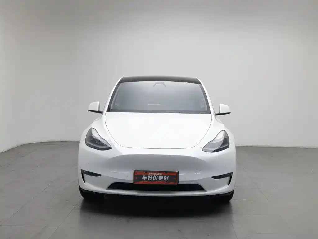 Tesla Model Y — миниатюра 3