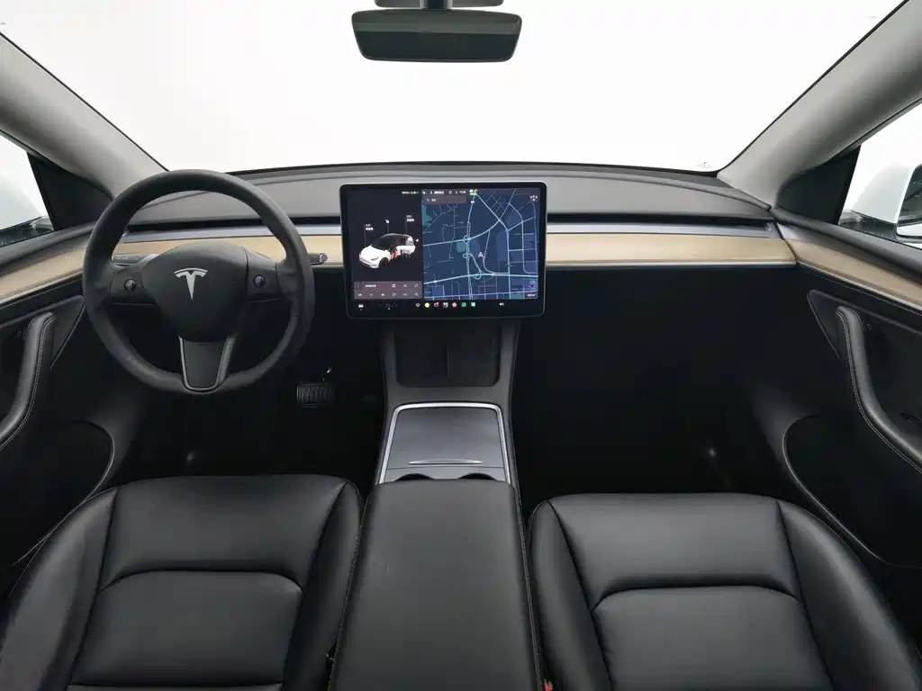 Tesla Model Y — миниатюра 5