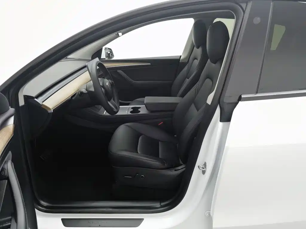 Tesla Model Y — миниатюра 10