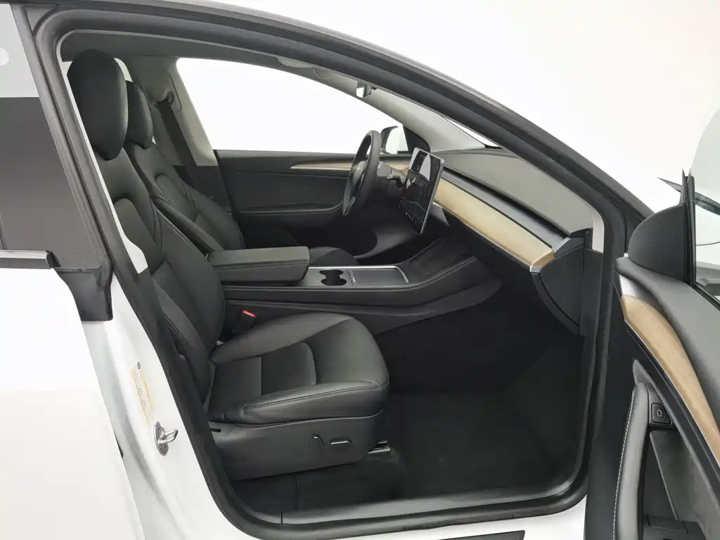 Tesla Model Y — миниатюра 23