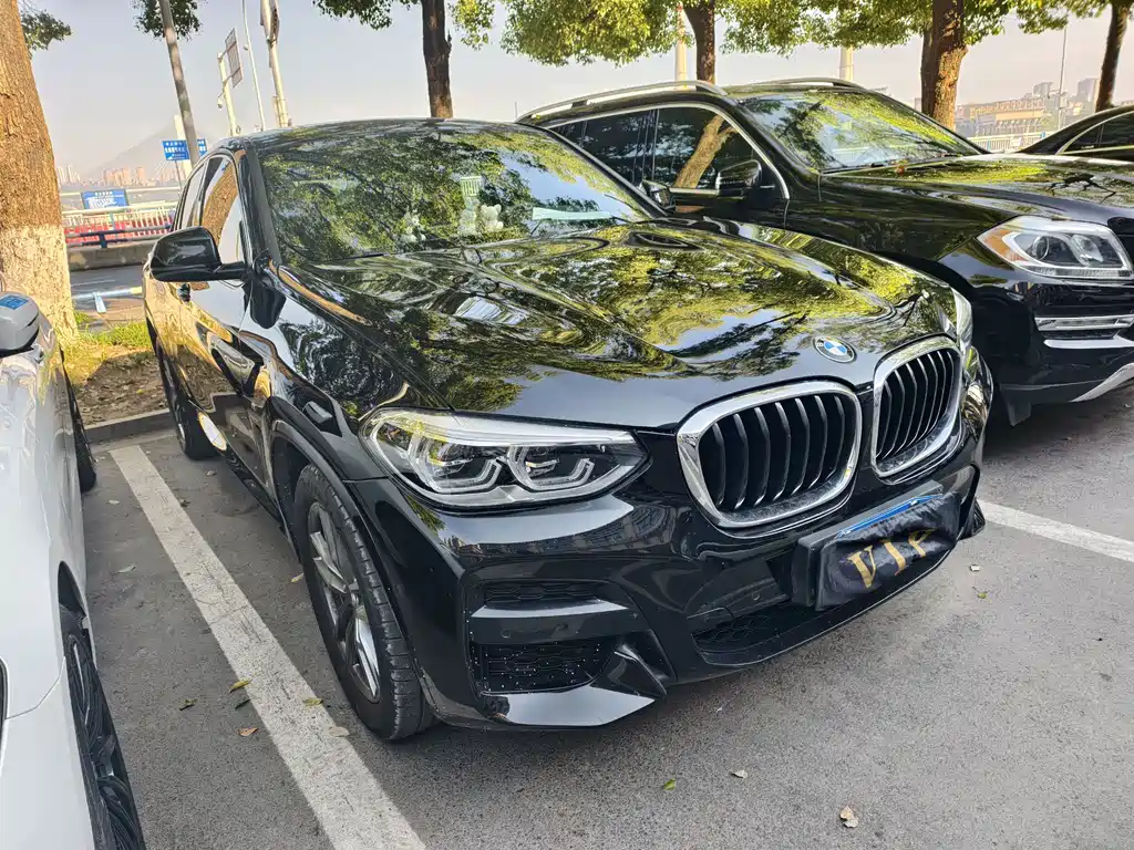BMW X4 2020 xDrive25i M Sport