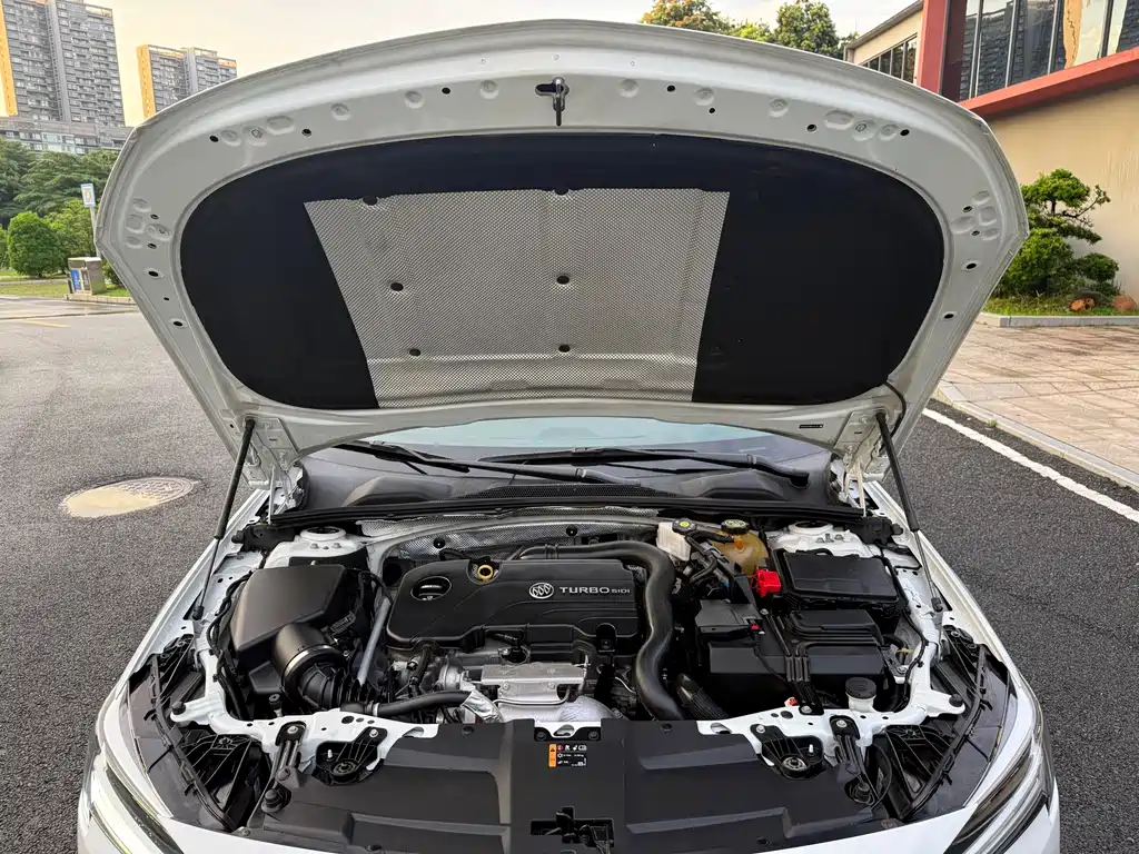Buick Regal — миниатюра 28