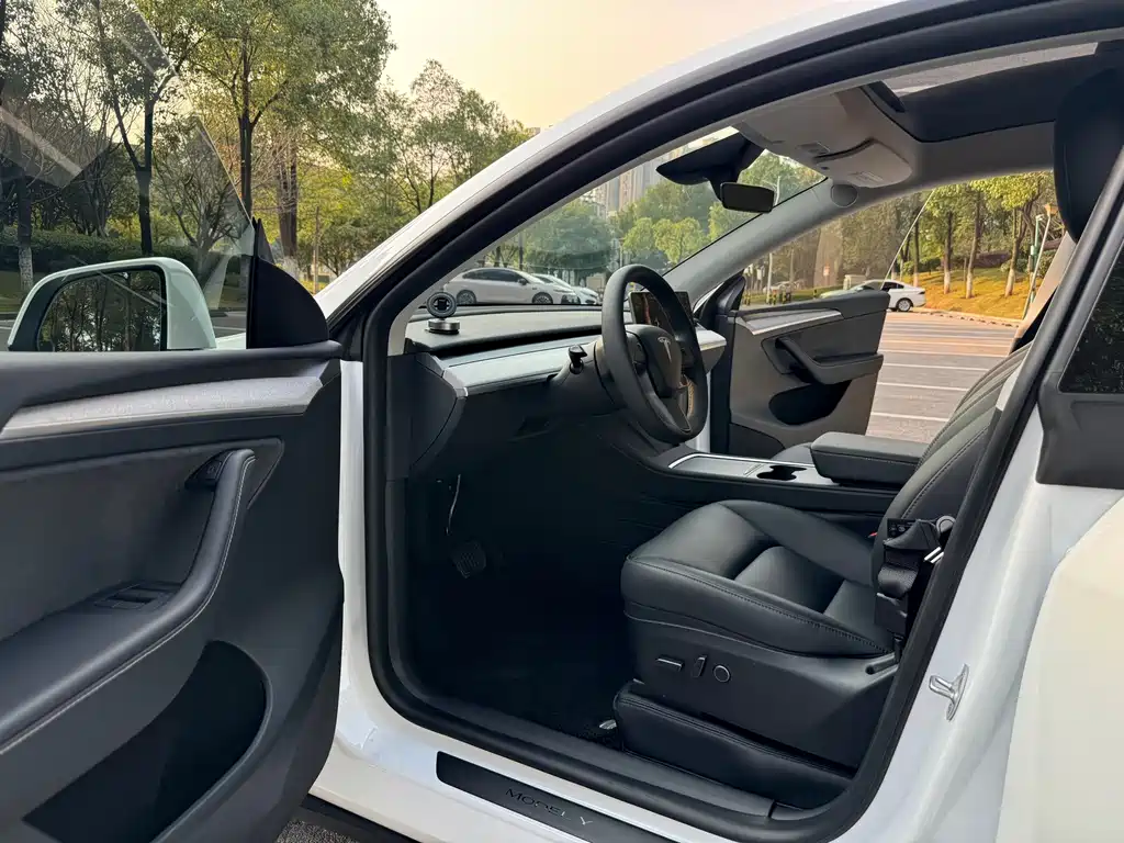 Tesla Model Y — миниатюра 13