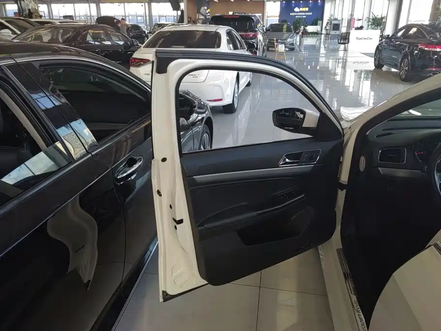 Volkswagen Gran Lavida — миниатюра 7
