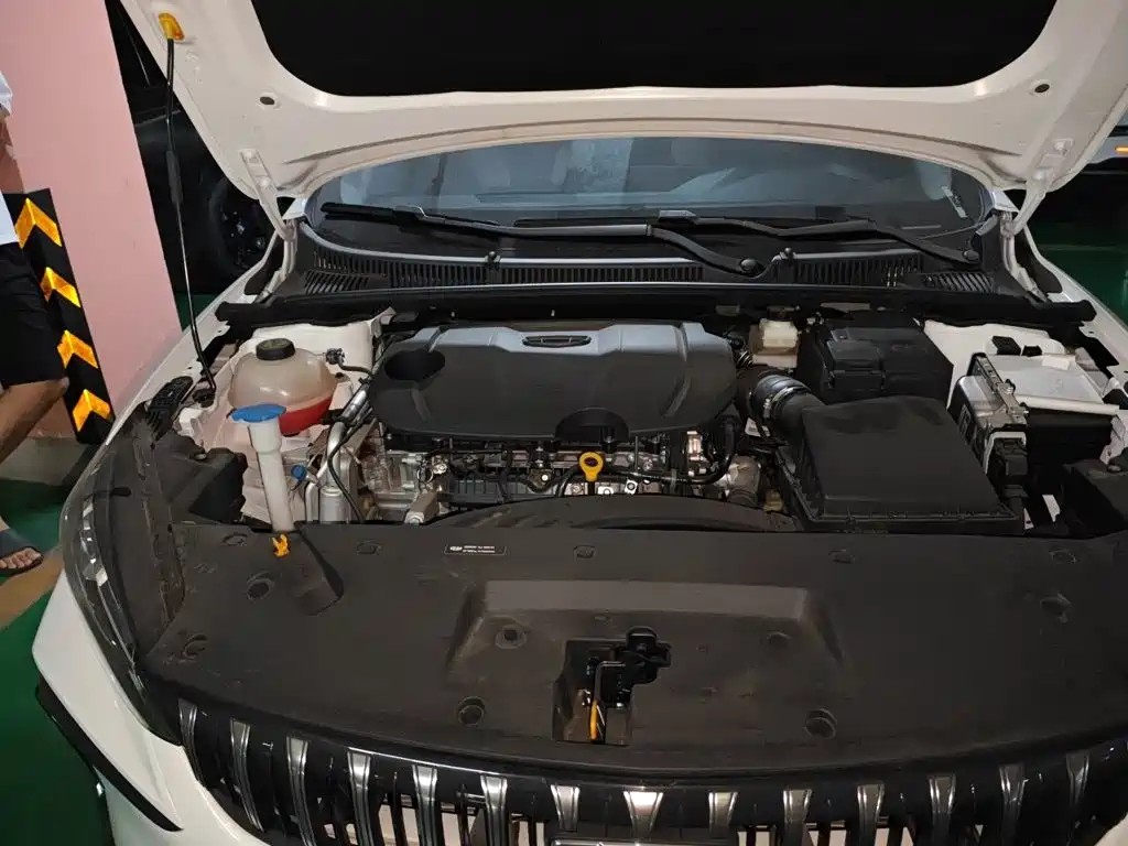 Geely Binrui — миниатюра 19