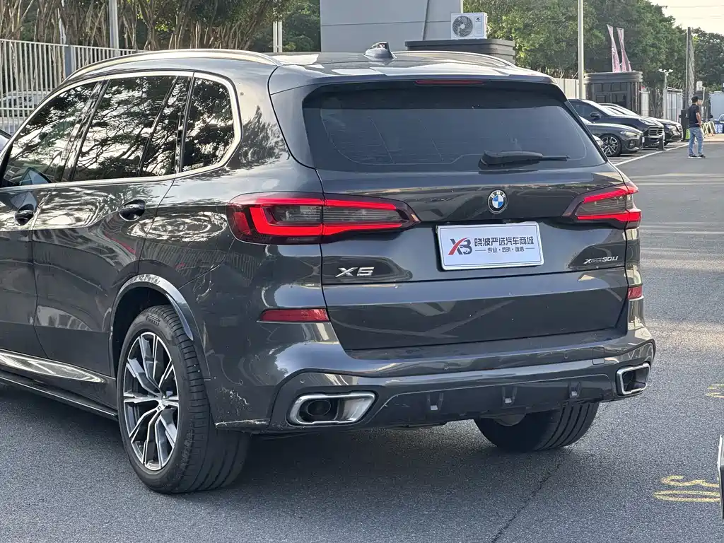 BMW X5 2022 xDrive 30Li Premium M Sport