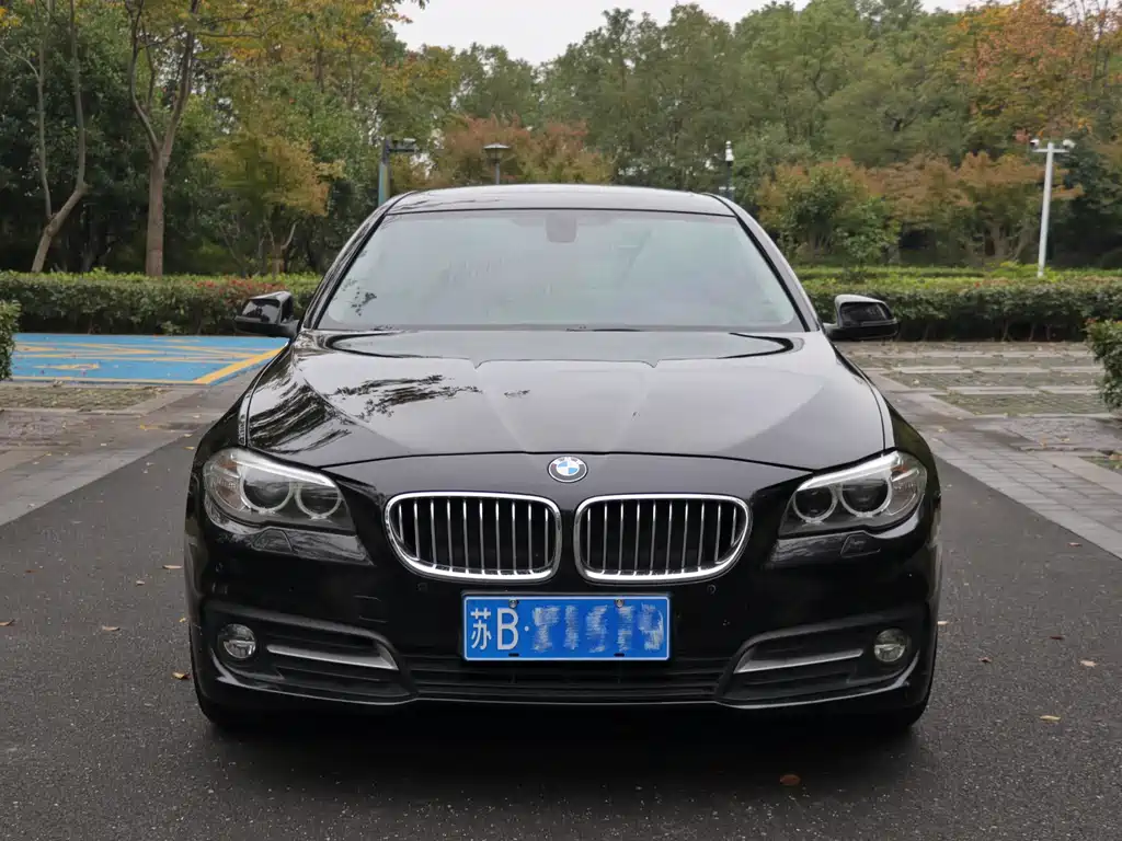 BMW 5 Series 2015