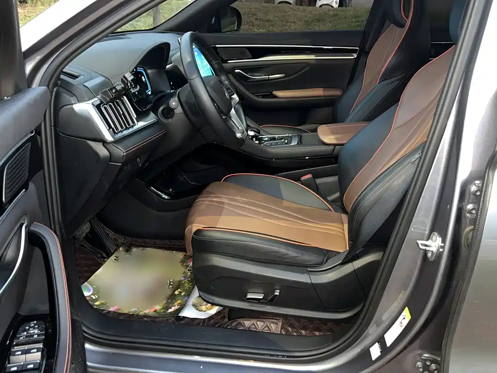 BYD PLUS — миниатюра 14