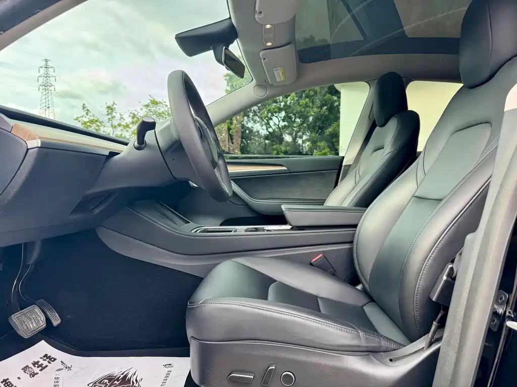 Tesla Model Y — миниатюра 6