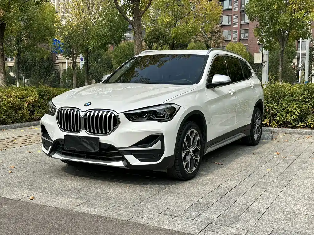 BMW X1 — миниатюра 2