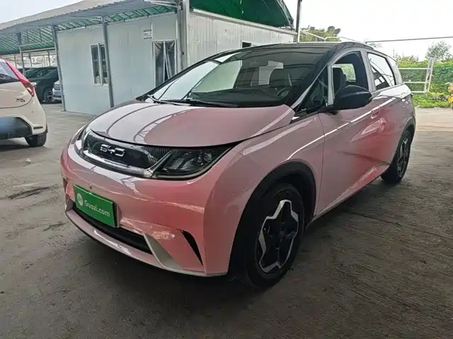2022 BYD Dolphin