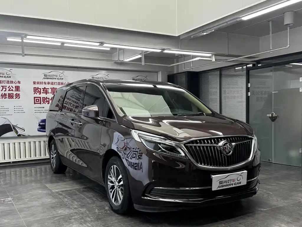 Buick GL8 — миниатюра 3
