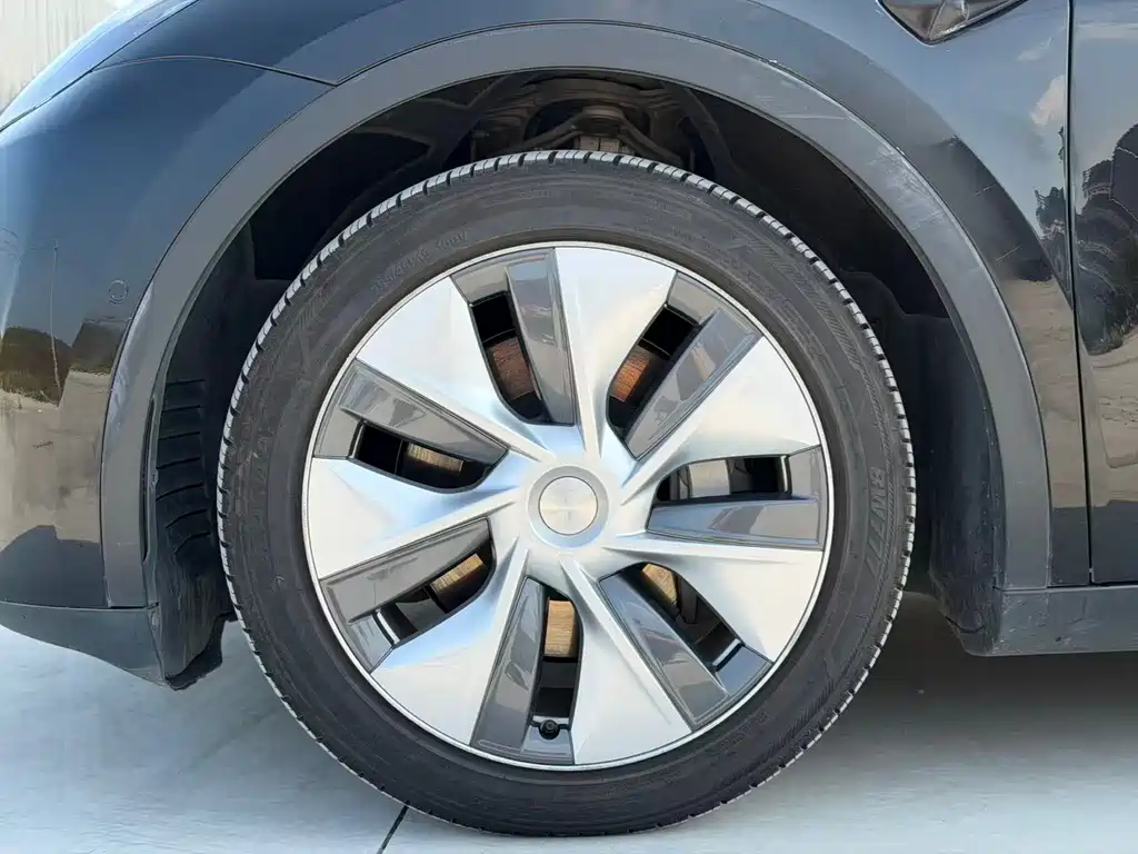 Tesla Model Y — миниатюра 14