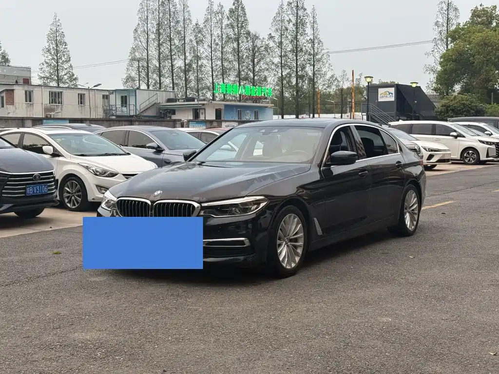 BMW 5 Series New Energy 2020