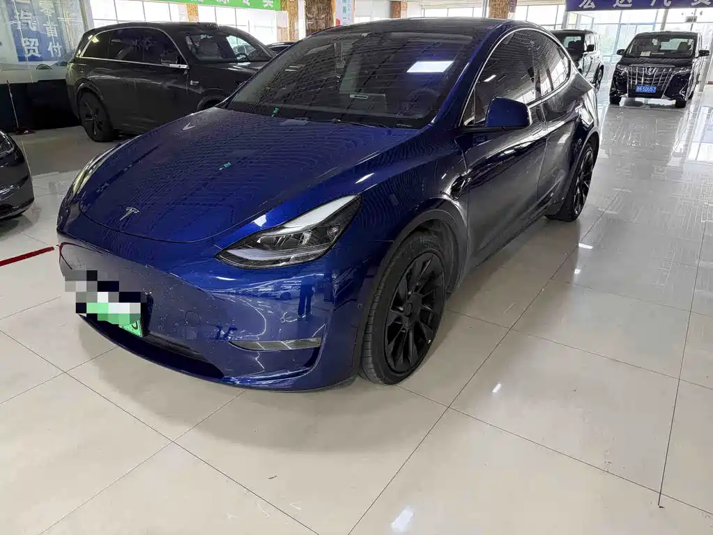 Tesla Model Y — миниатюра 2