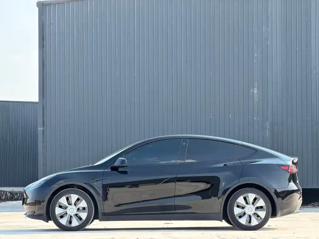 Tesla Model Y — миниатюра 15