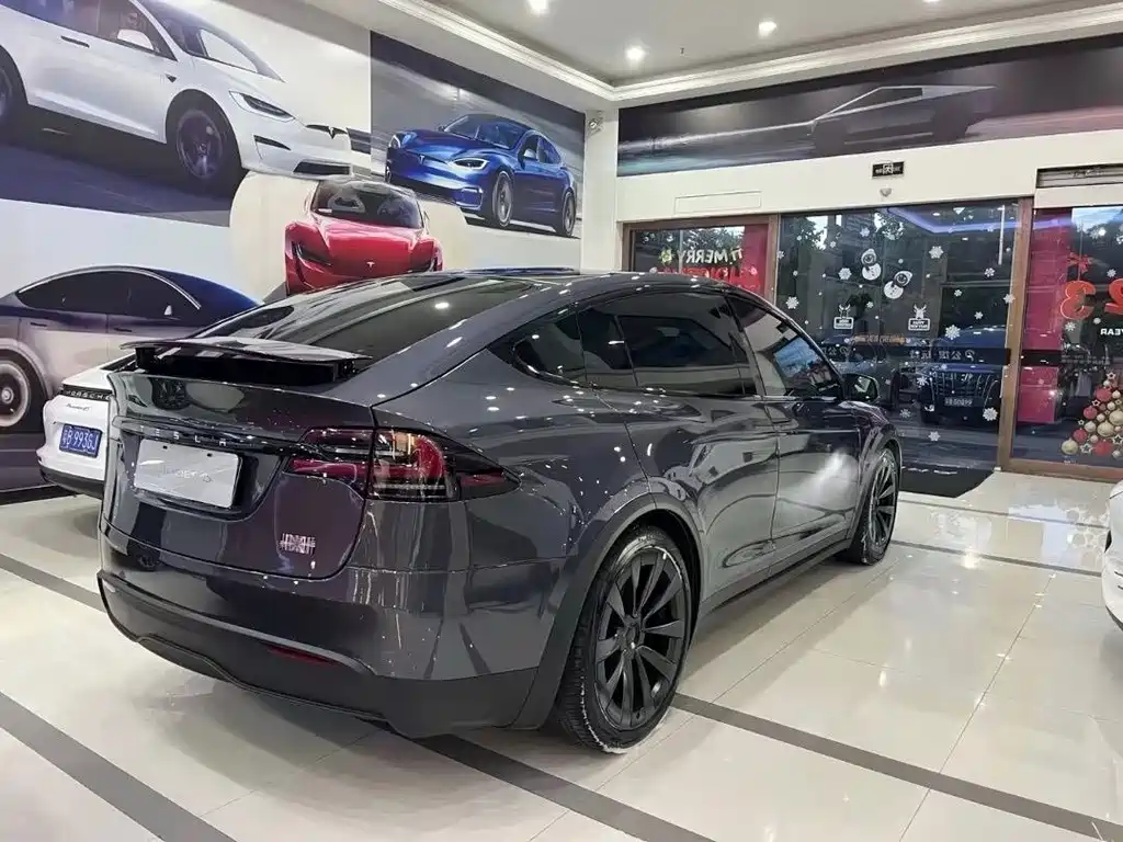 Tesla Model X — миниатюра 4