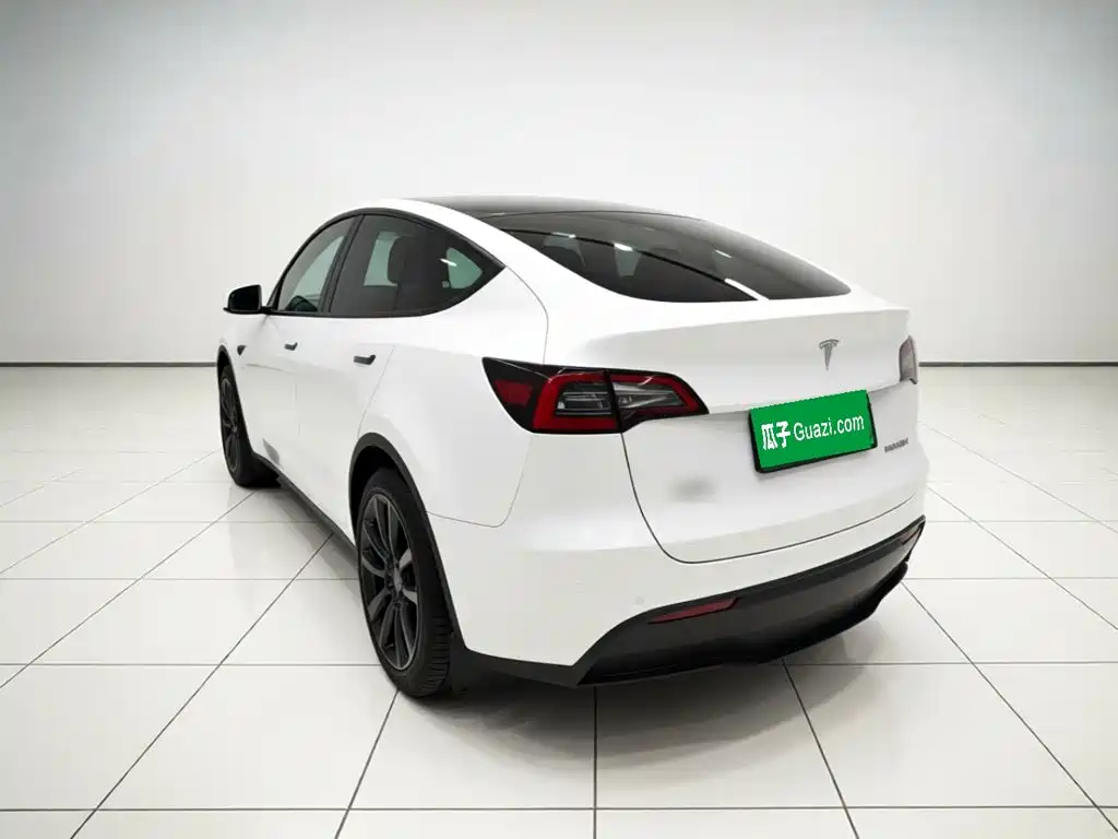 Tesla Model Y — миниатюра 4