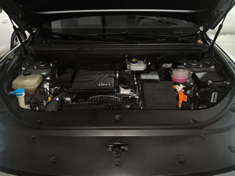 BYD Pro New Energy — миниатюра 10