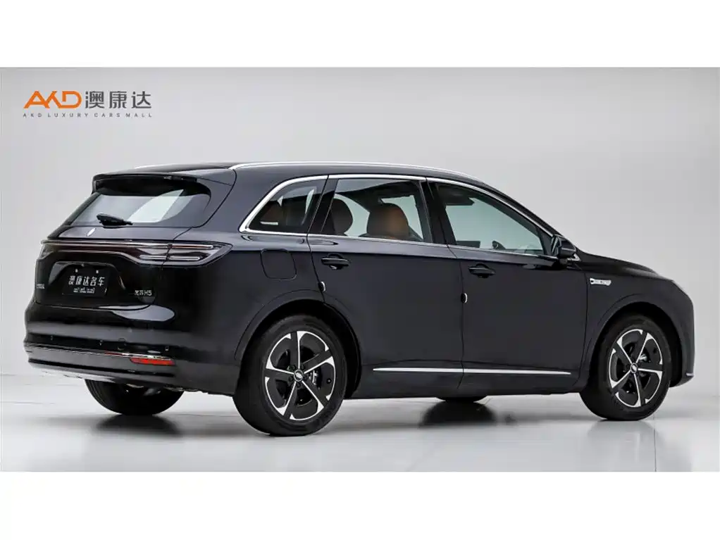Shangjie H5 2025 Max