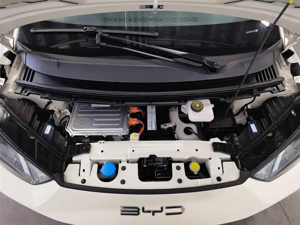 BYD Seagull