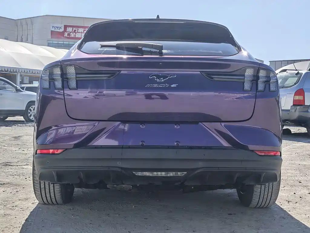 Ford Mustang Mach-E — миниатюра 8