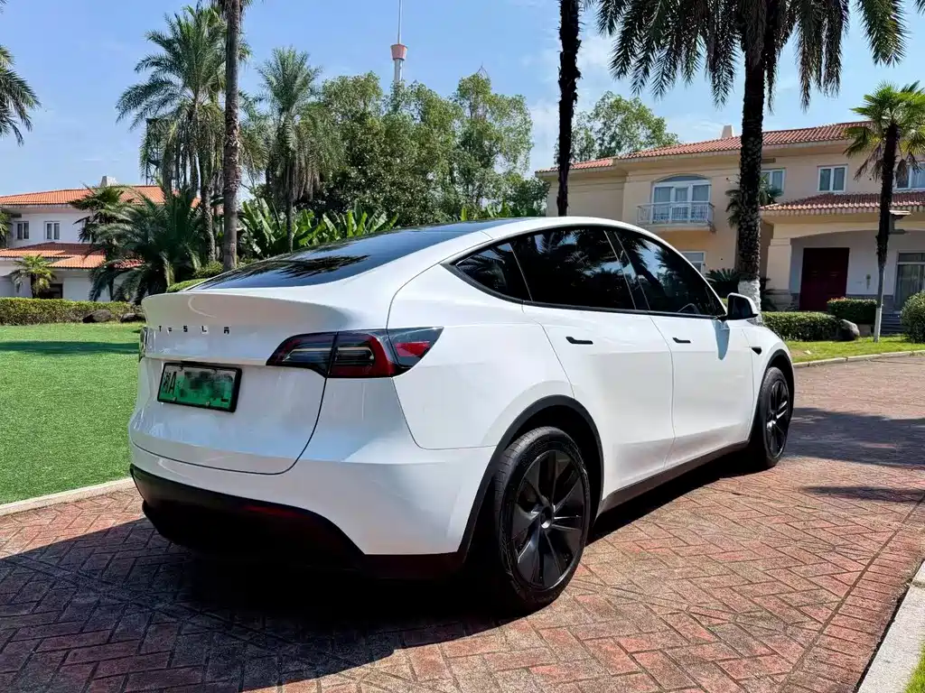 Tesla Model Y — миниатюра 9