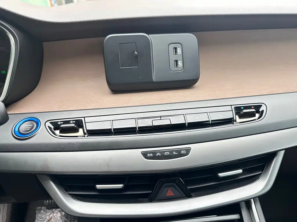 RUILAN AUTOMOBILE MAPLE LEAF 80V