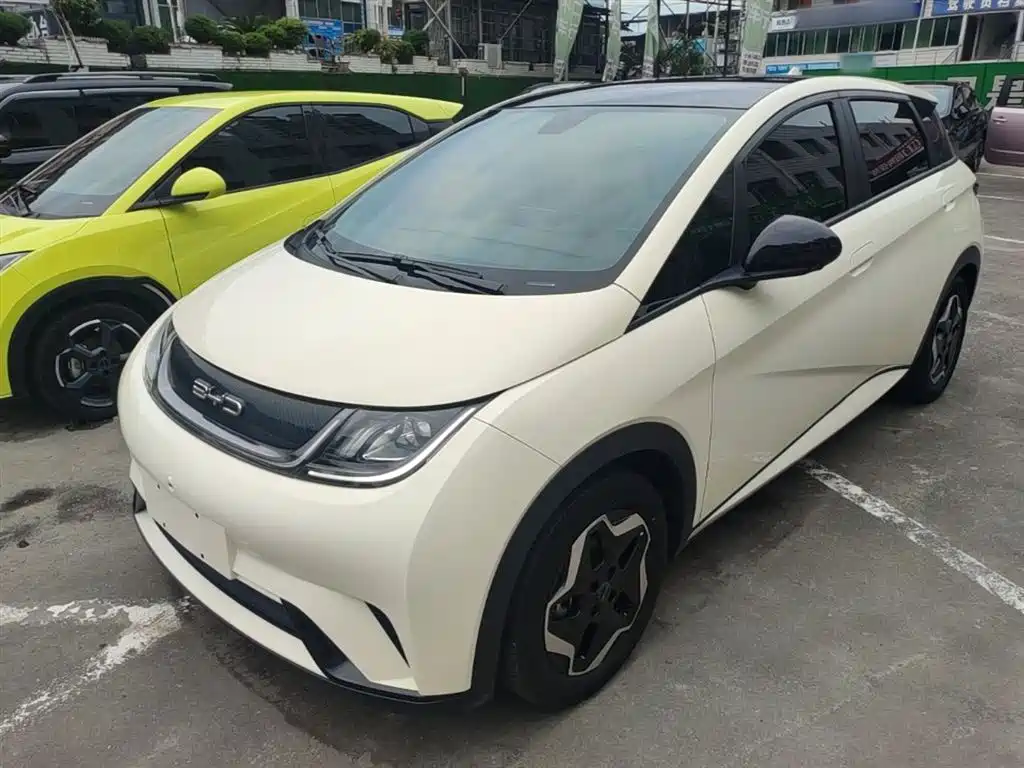 Byd Dolphin 2022