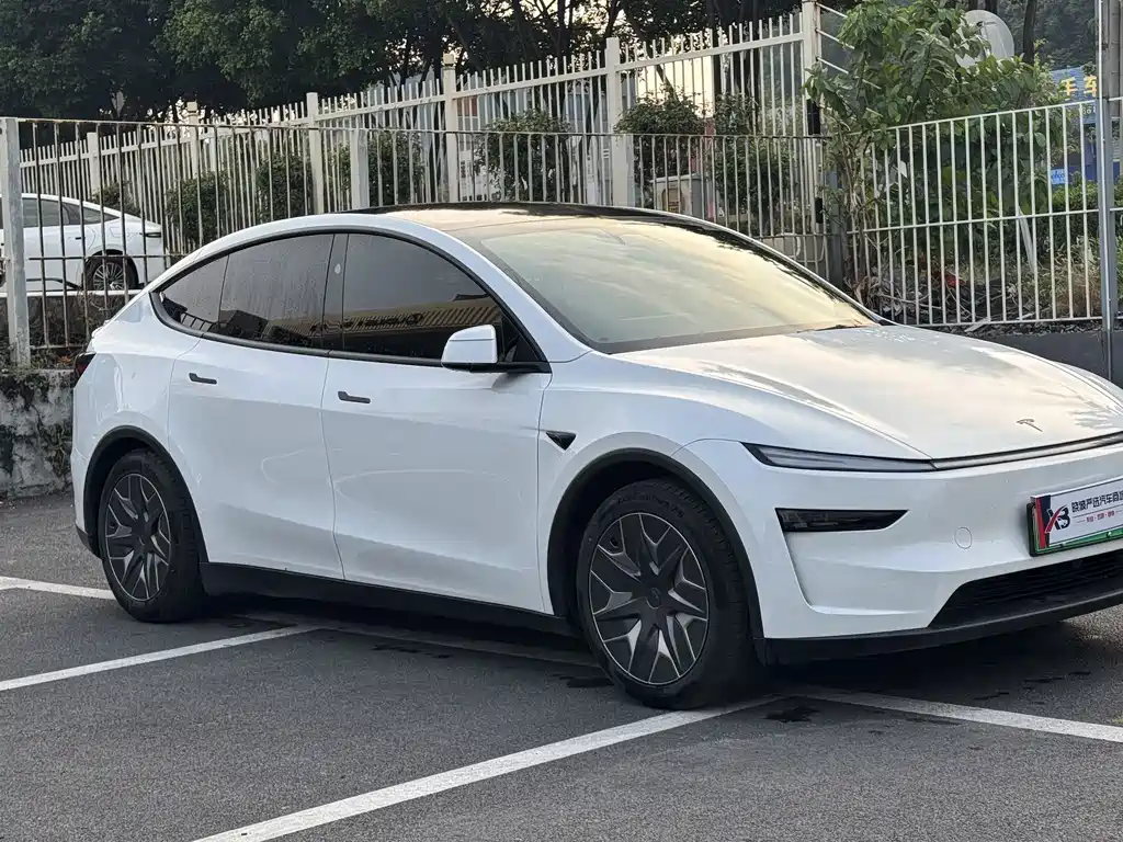 Tesla Model Y L — миниатюра 2