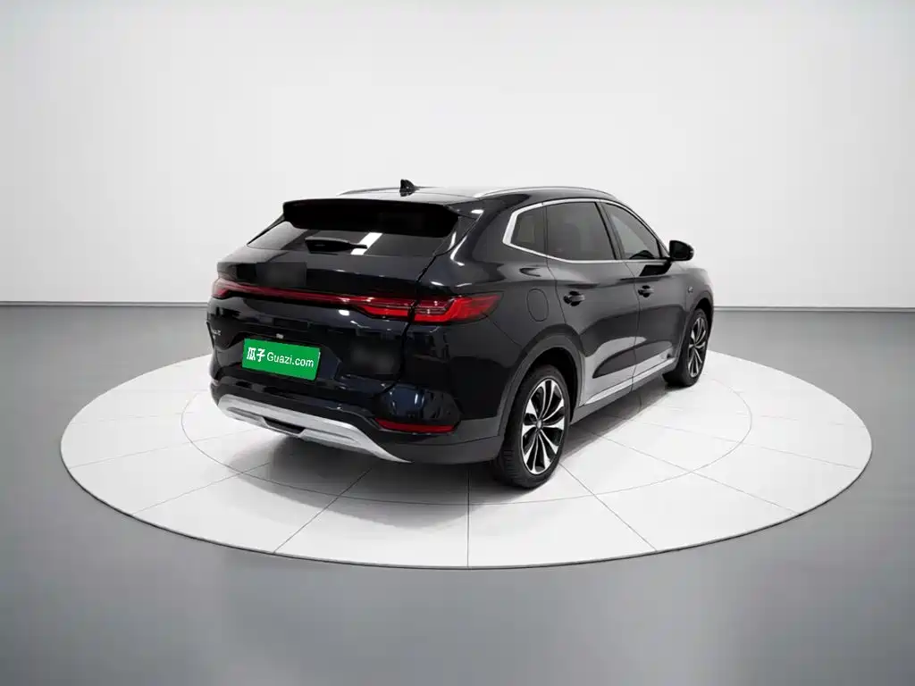BYD PLUS New Energy — миниатюра 6
