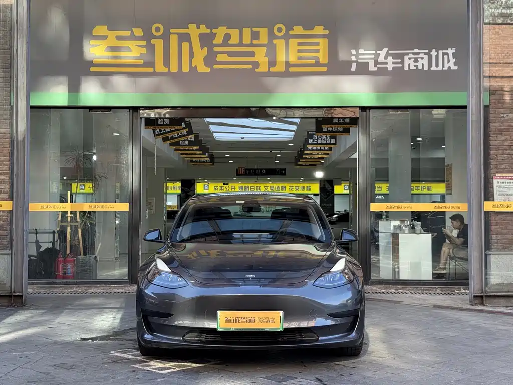 Tesla Model 3 — миниатюра 2