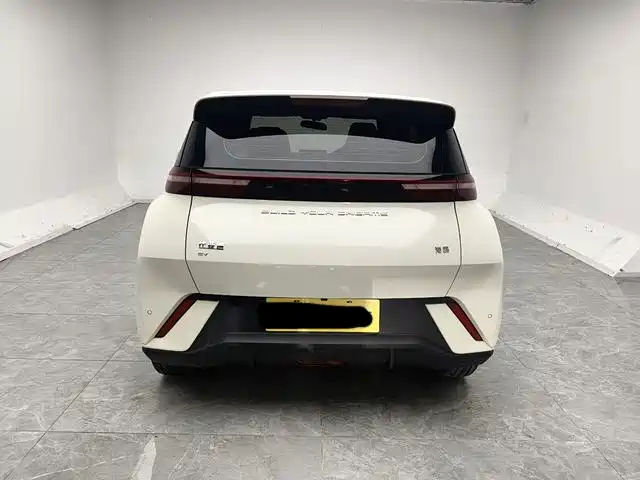 BYD Seagull 2023 Freedom