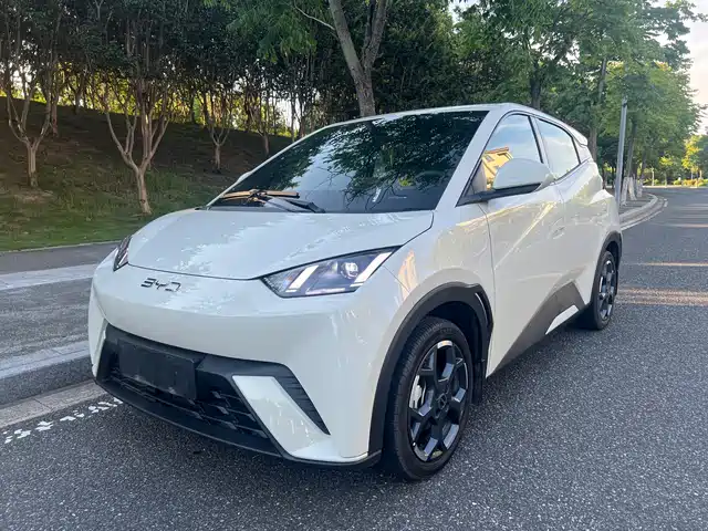 2025 BYD Seagull