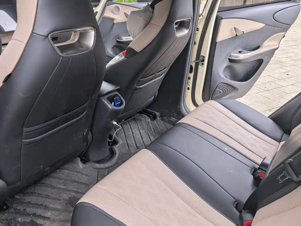 BYD Dolphin 2024 420km Fashion