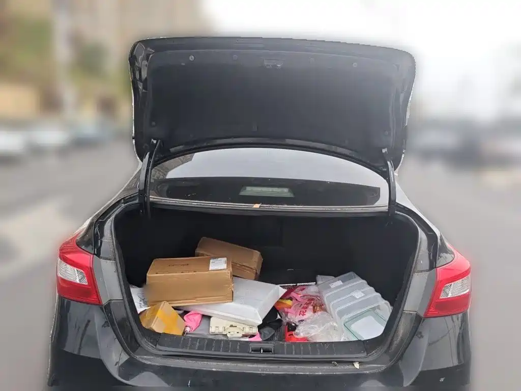 Nissan Sylphy — миниатюра 10