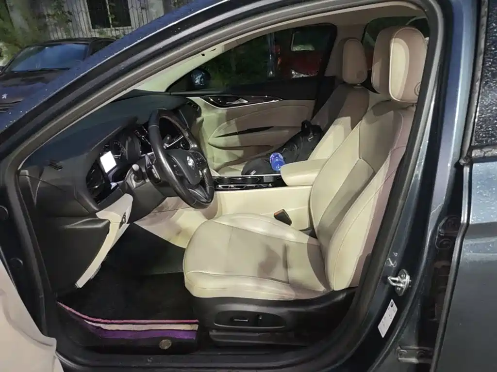 Buick Regal — миниатюра 15