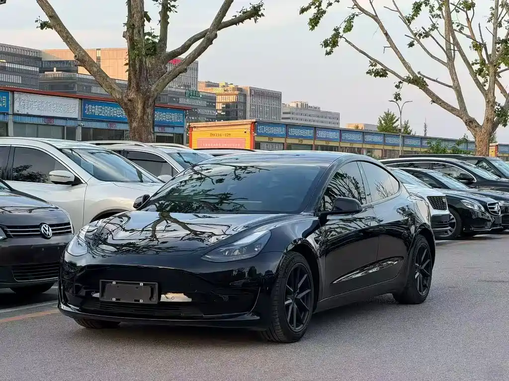 Tesla Model 3 2021