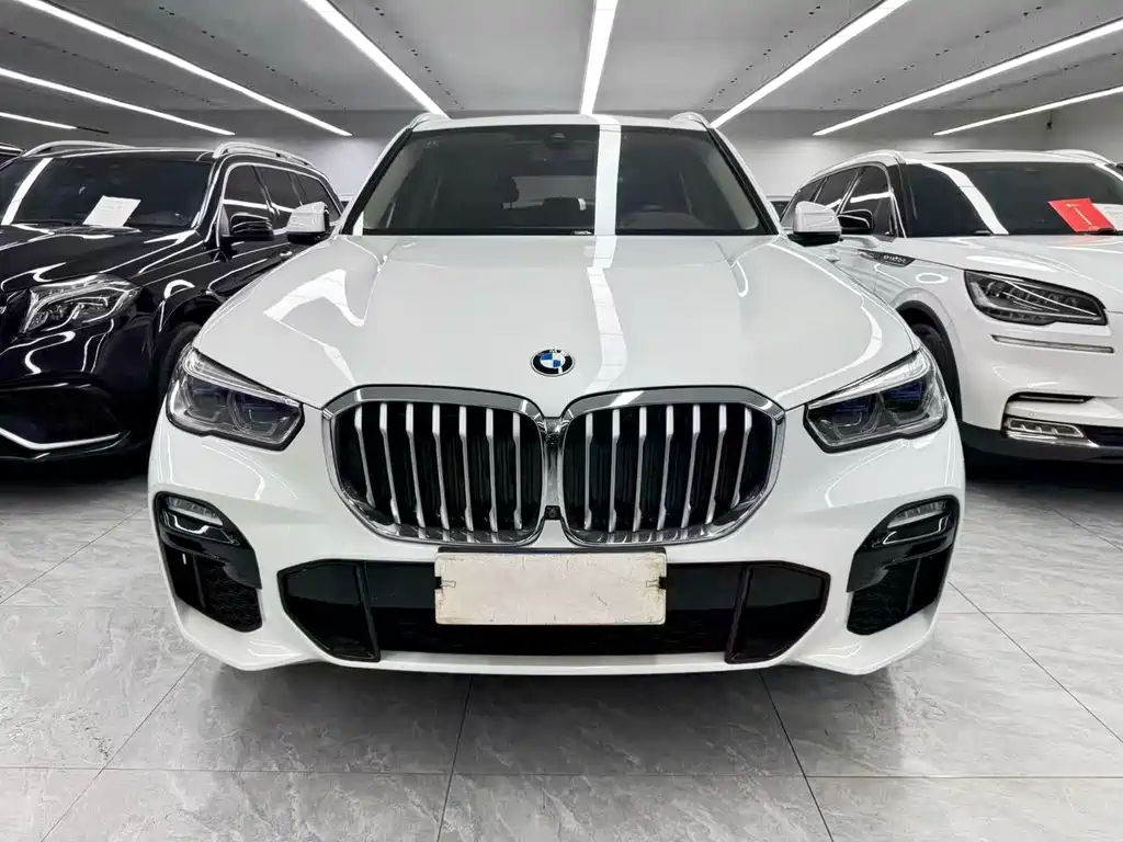 BMW X5 (Import) — миниатюра 2