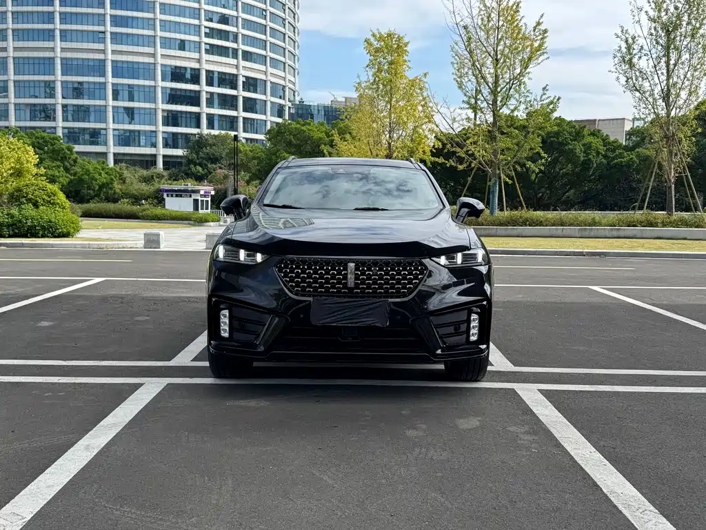 WEI PAI WEI BRAND VV7