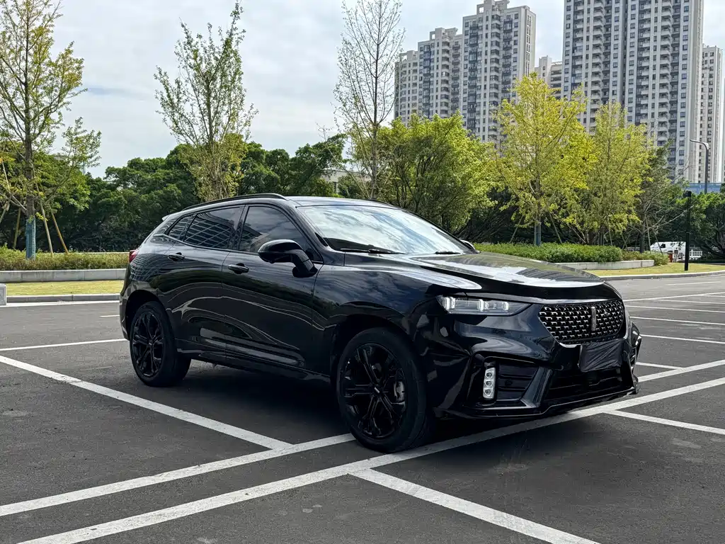 WEI PAI WEI BRAND VV7