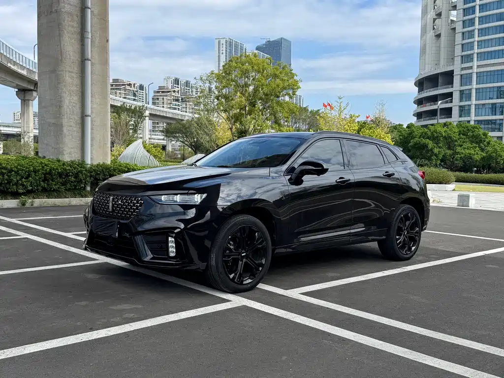 WEI PAI WEI BRAND VV7